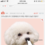 [EXO] 진지하게 이거 뭔데 베댓 ㅂㅁㄱ에 반대 <b>오짐</b>?