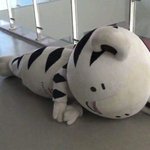 [댓글부탁해] 생일때 <b>엽사</b>올리는거