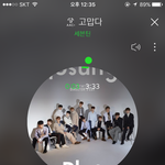 [세븐틴] ㅅㄷ 갓챔 보는거 있잖아