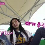 [모두드루와] 아이린과 조이의 차이