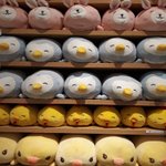 나이키 바람막이만 입는 거 가능?