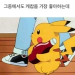 [댓글부탁해] 물리랑 <b>생명</b> 문제집 추천 좀 ㅠㅠ