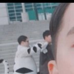 보면후회할지도)수호랑 인형탈 안 사람분