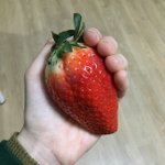 고장환이 딸기 협찬 받는다면..ㅋㅋㅋㅋ