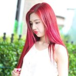 와쥐랑 에쎔제왑이랑 너무 <b>딴판</b>이라서 개싫음