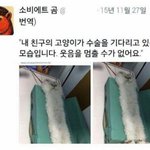 [댓글부탁해] 아이폰 카톡 <b>미리</b>보기