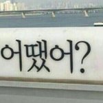 우리나라 <b>명절</b> 싫은애 나뿐이냐