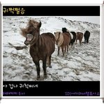 [드루와] <b>기숙</b>형 자사고 질문받아요!