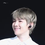[EXO] 백현이<b>일</b> 언금하자