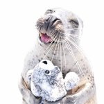 근데 <b>인티</b>도 정보알려주는거 거의 스쉐급임