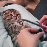 <b>와아</b>씨6키로남았다