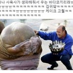 게임 추반<b>하장</b>