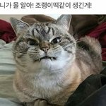 우린 서울 <b>큰아빠</b>집보다 시골 <b>큰아빠</b> 집이 더 좋음
