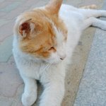 휴 살개쪘는데 <b>친척</b> 봐야되다니