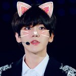 [EXO] 변백현은 진짜