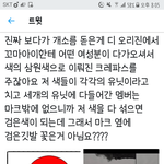 [NCT] 소름,,,마크 <b>검정</b>깃발 밑에 있던 이유가