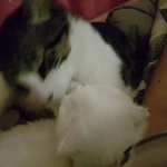 <b>울사</b>랑군띠몇몇사진공개