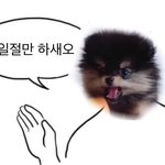 아 진짜 빡치네ㅋㅋㅋㅋ <b>아미</b>인데