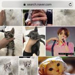 [EXO] 초록창에 <b>청순</b>한고양이 치면 민석이 나온대 ㅋㅋㅋ