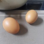 [댓글부탁해] 떡볶이 배달시간...