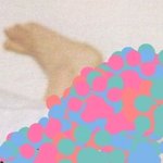 [EXO] 니네 다틀림 <b>정답</b> 알려줄까