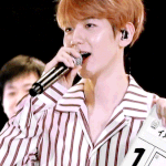 [백현] 일본<b>팬</b><b>미</b> 백현 3