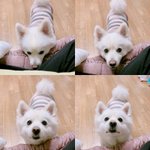 [댓글부탁해] <b>설날</b>에 다래끼남 ㅠㅠㅠ