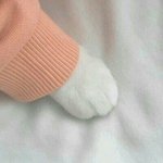 판녀들 청명이가 뭔뜻일까