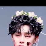 새벽이니깐 눈<b>정화</b>짤인거에 손을건다.