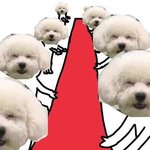 [EXO] 하 비비가