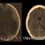 설날, <b>제사</b> 이런거 없어졌으면 좋겠음