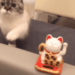 기요마 <b>일러</b>났니? ㅋㅋ