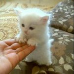 아 존.나 진짜 나 <b>왕따</b>임 ㅜㅡㅠㅜㅜ