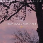 [댓글부탁해] 사진O// 도용당했어요 도와주세요