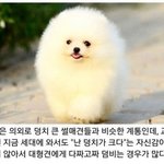 지금 살거 다 주문해야징