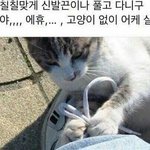[댓글부탁해] 니네 <b>폰트</b>뭐써??(기본빼구