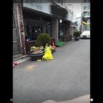 진해<b>시민</b> 여러분.그리고 어쩌다 청소부가된 사연...