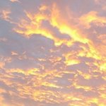 [조언부탁해] 친구 조언좀 해주라