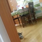아 미친 <b>똥</b>싸는데 밖에서 이상한<b>소리</b>들려서 문열었더니