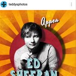 [드루와] 해외유명연예인 전범기논란 정리