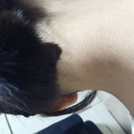 나 강제로 귀밑3<b>센치</b>머린데