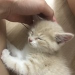 내 친구 말투가 진짜 이상함