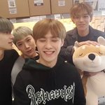 [NCT] 욱희가 들고있는 저 시바견 인형베개....