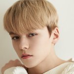 [세븐틴] <b>버논</b> 입덕 했는데 사진 좀ㅠㅠ
