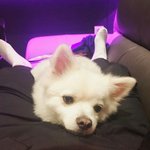 [댓글부탁해] 동생 있을 것 같다는 건 성격이 어떻단 말<b>얌</b>??
