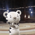 [드루와] <b>가시나</b> 추는 수호랑