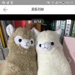 [댓글부탁해] 얘들아 <b>필통</b> 무슨색 살까
