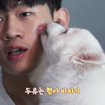 [드루와] ((스포주의)) 하테마테 본 판녀 있어?!
