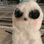 [댓글부탁해] 아이<b>패드</b> 미니 1직거래로 9만원 나 호갱임??
