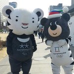 [드루와] 머리 바꿔 쓴 <b>수호</b>랑 반다비